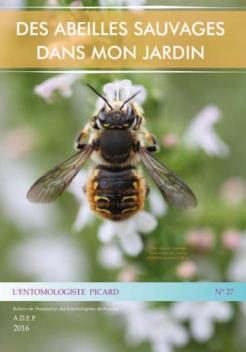 thumbnail - Des abeilles sauvages dans mon jardin